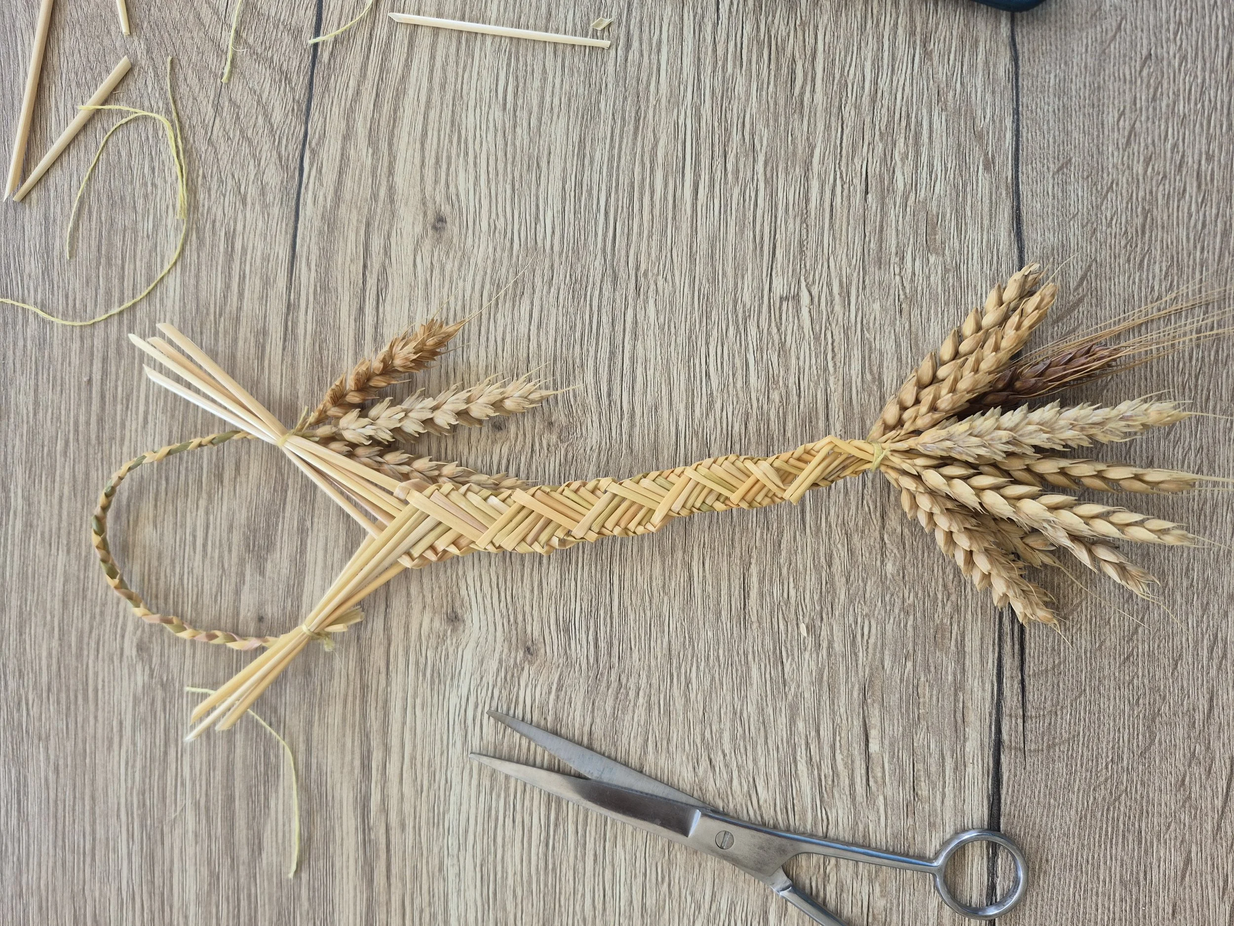 TAO als brug tussen jou en de plantenwereld