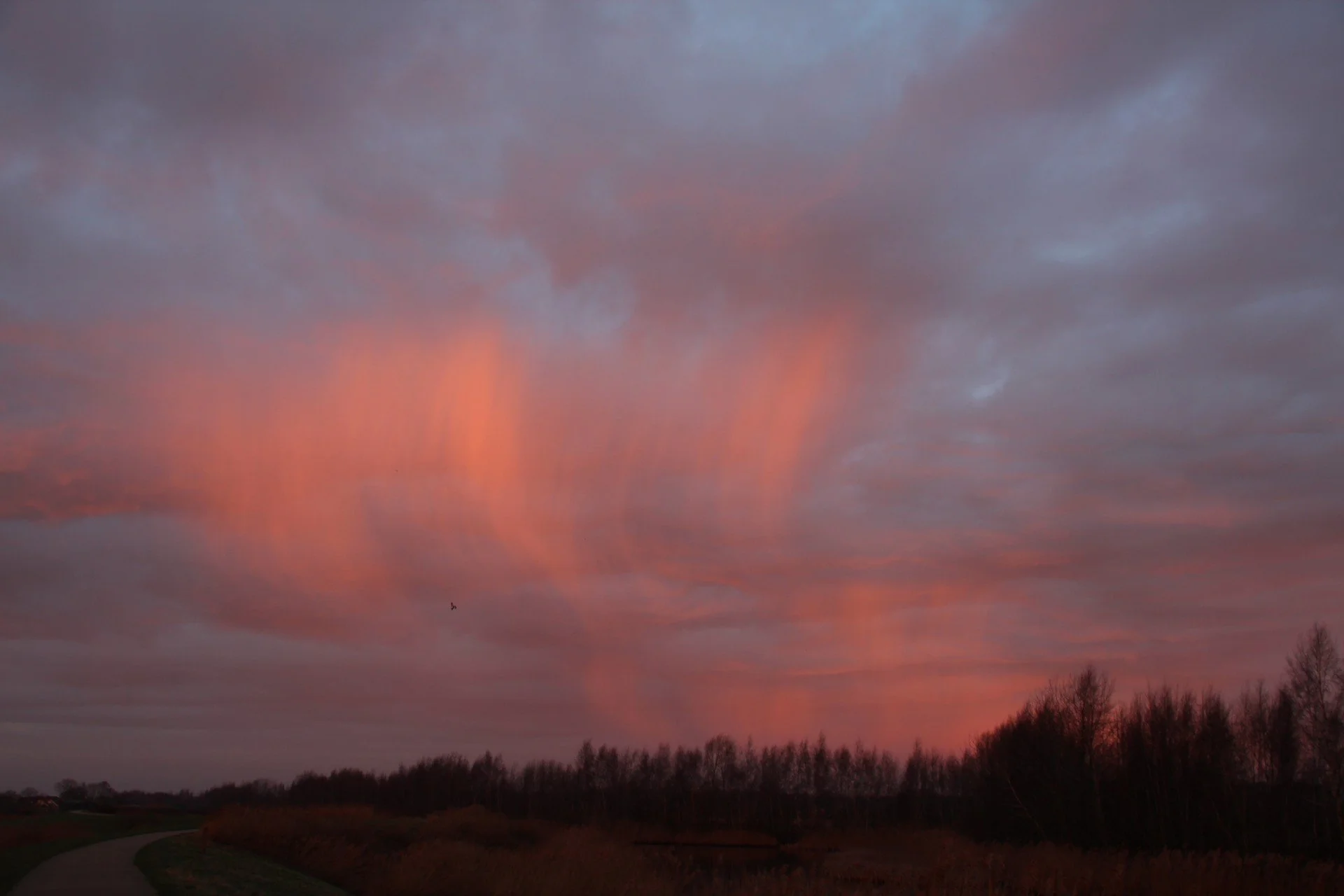 Kleur is de ziel van de natuur en van de hele kosmos