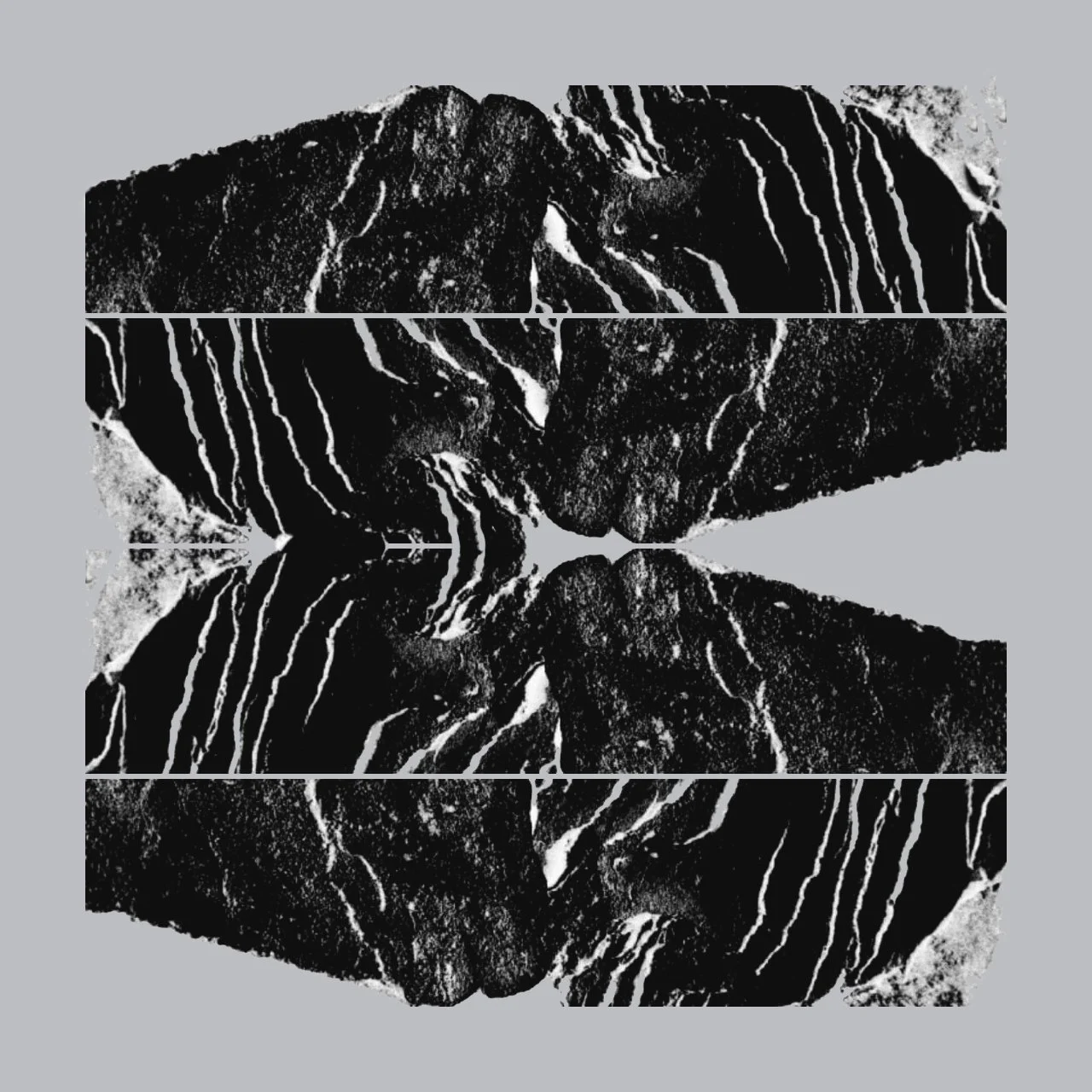 WhatsApp Image 2026-01-15 at 20.47.34 (2).jpeg