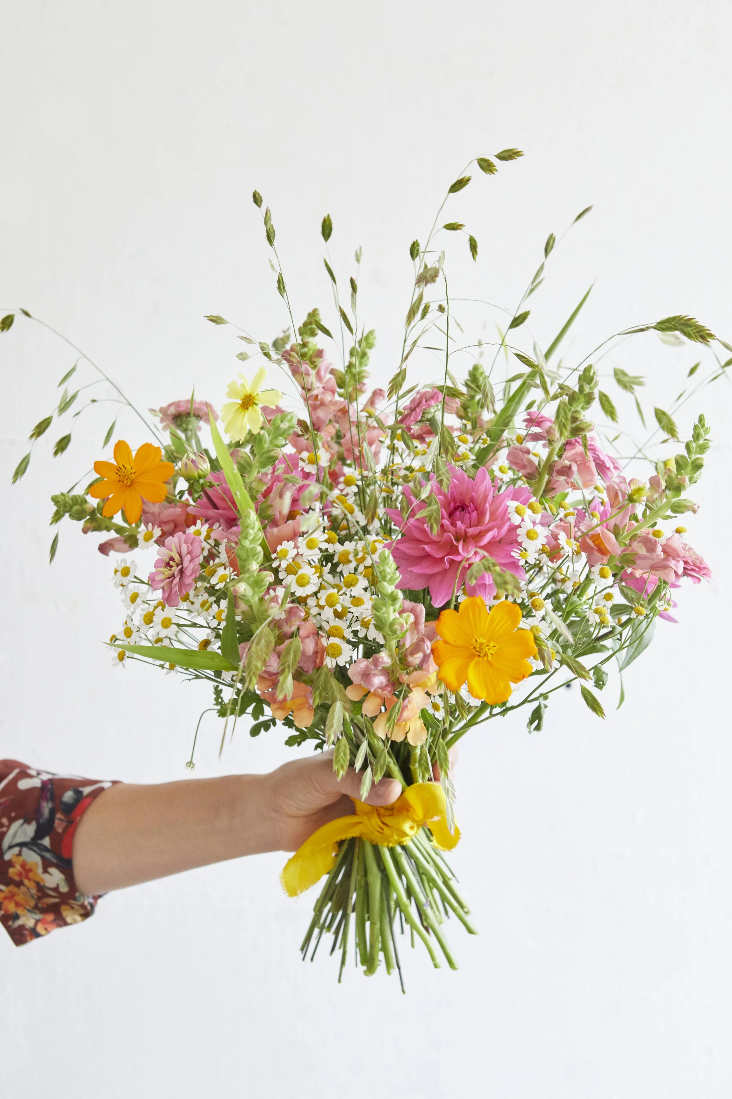 Untitled Session1036.jpg