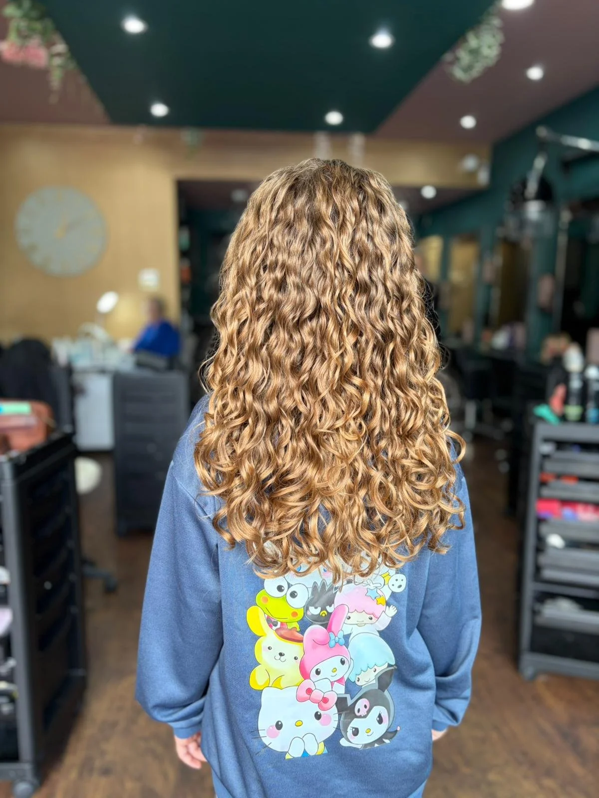 Back of person with long, curly, blonde hair wearing a gray hoodie with cartoon characters on the back in a hair salon.