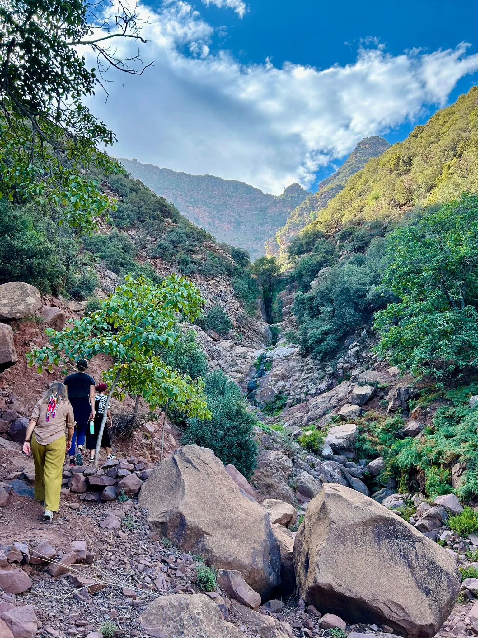 WhatsApp Image 2024-09-24 at 09.11.13.jpeg