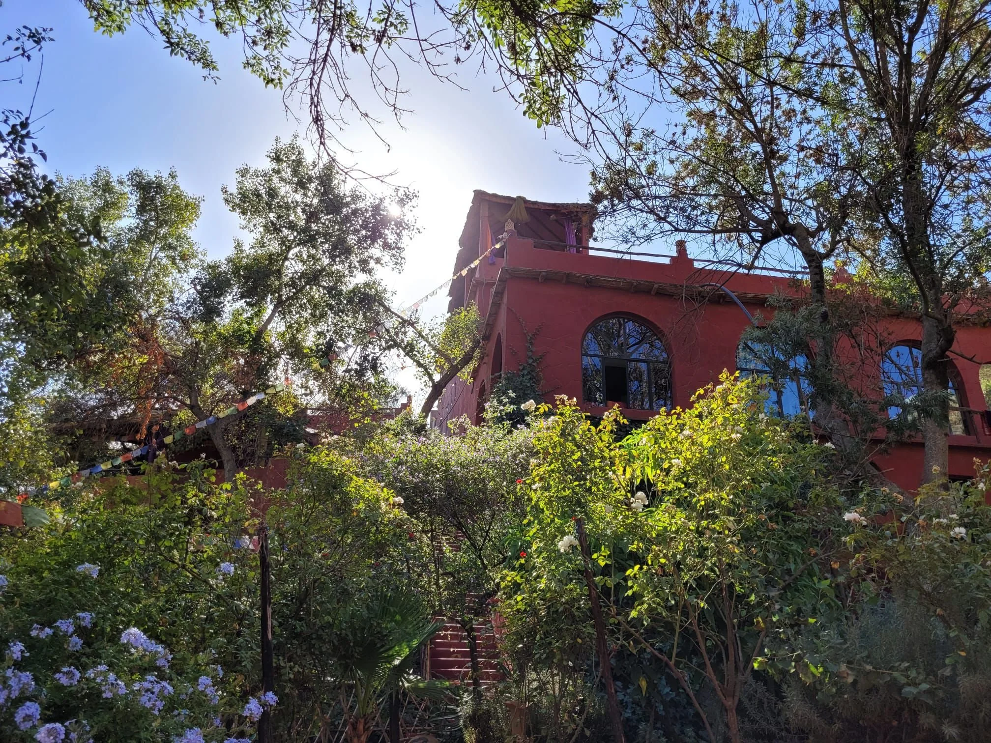 WhatsApp Image 2024-09-24 at 09.11.15 (1).jpeg