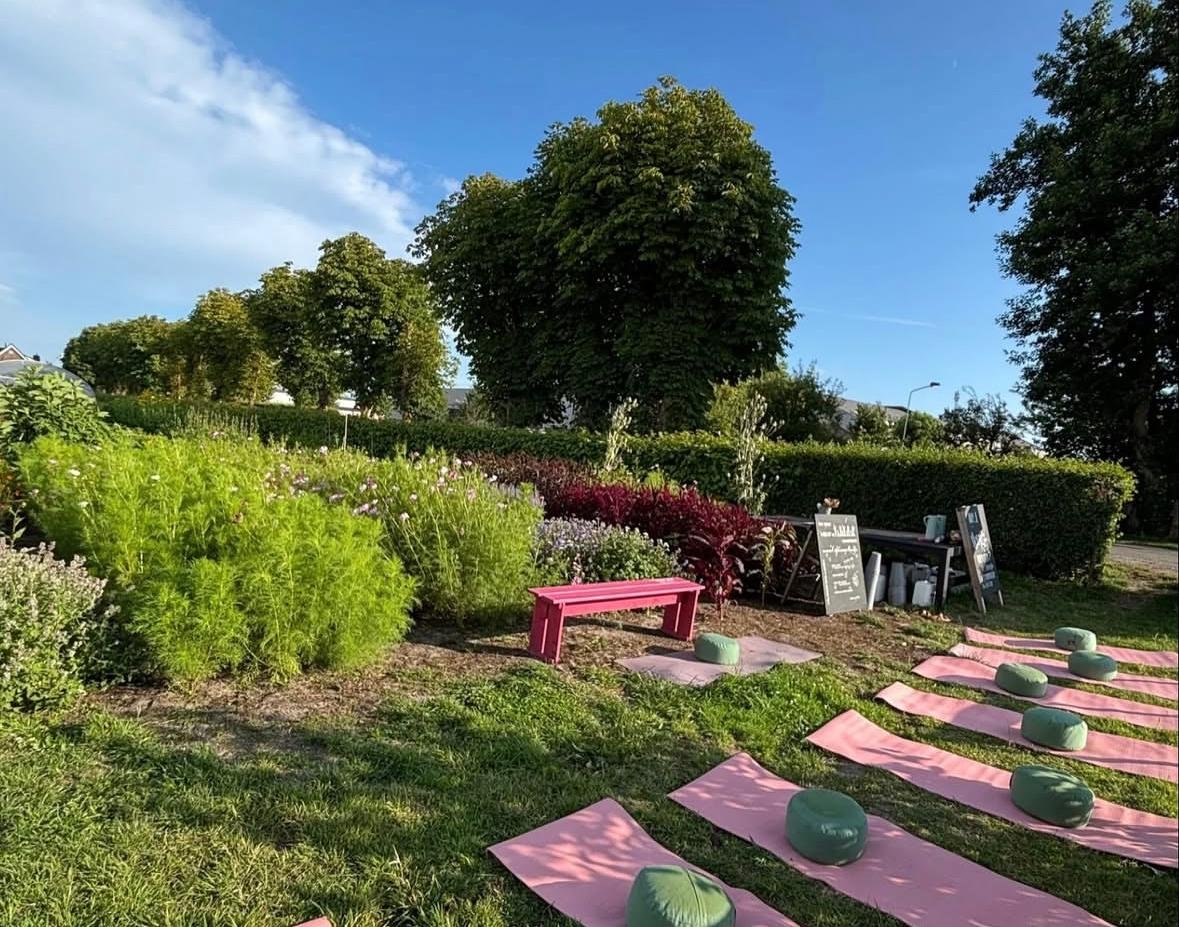 WhatsApp Image 2026-03-04 at 11.58.02.jpeg