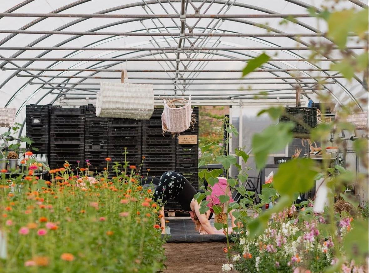 WhatsApp Image 2026-03-04 at 11.57.46.jpeg