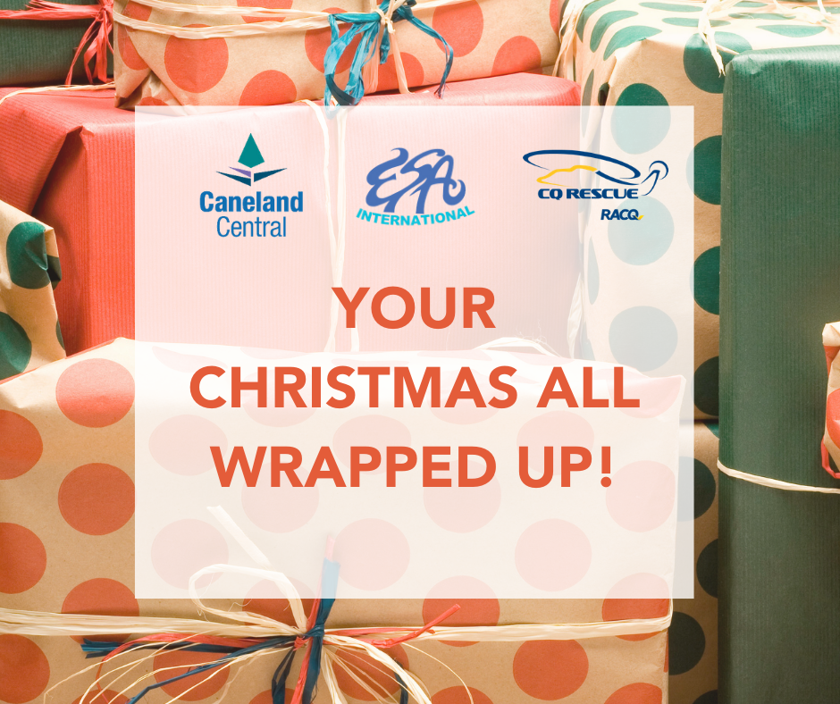 Christmas Wrapping 