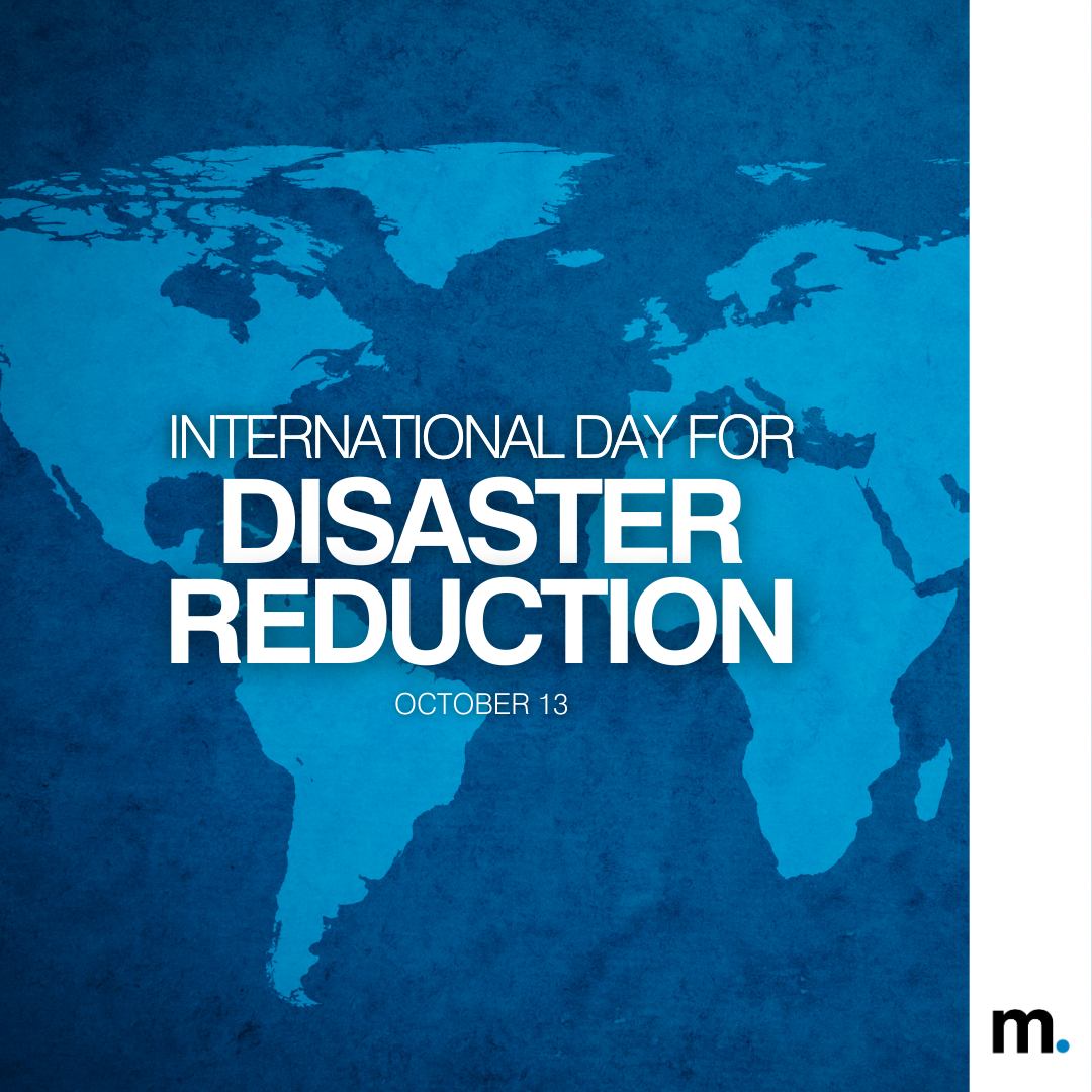 Intl Day Disaster Reduction - IG.png