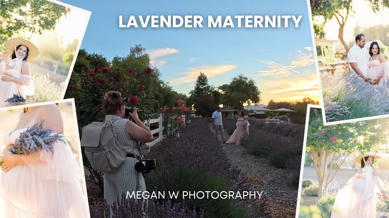 An Elegant Lavender Field Maternity Session