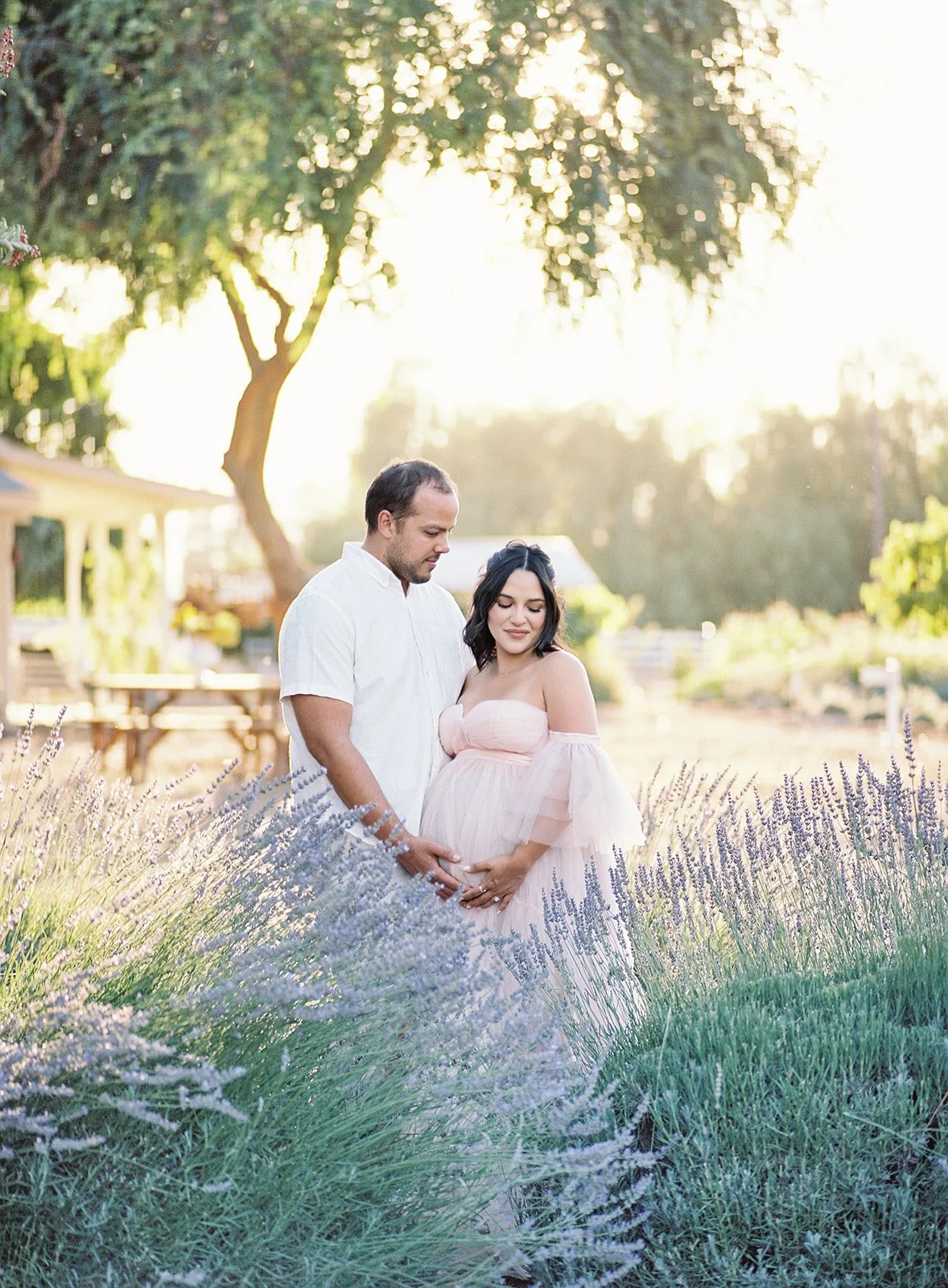 An Elegant Lavender Maternity Session | Ojai, CA