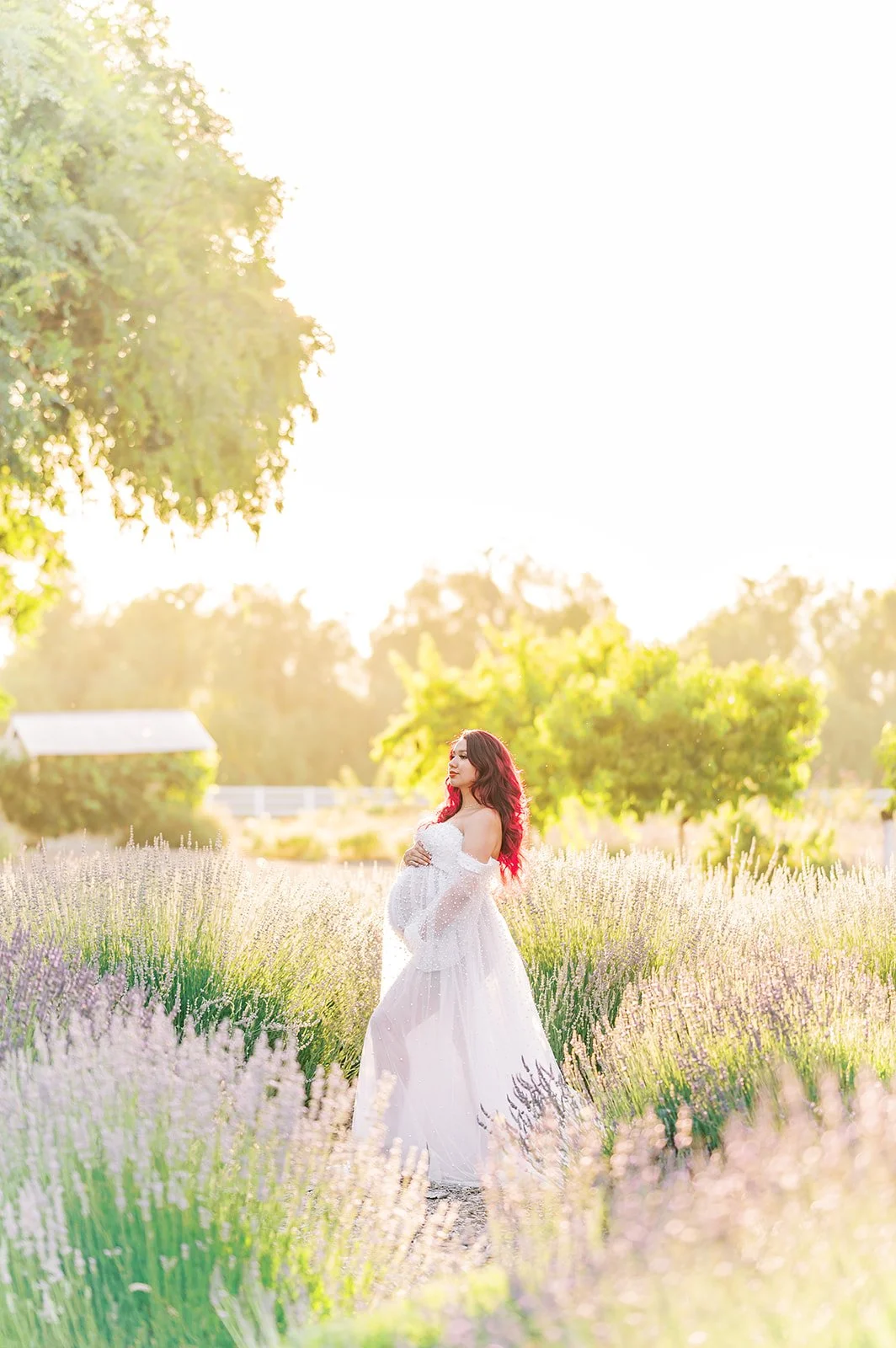 lavender-maternity-photoshoot (10).jpg