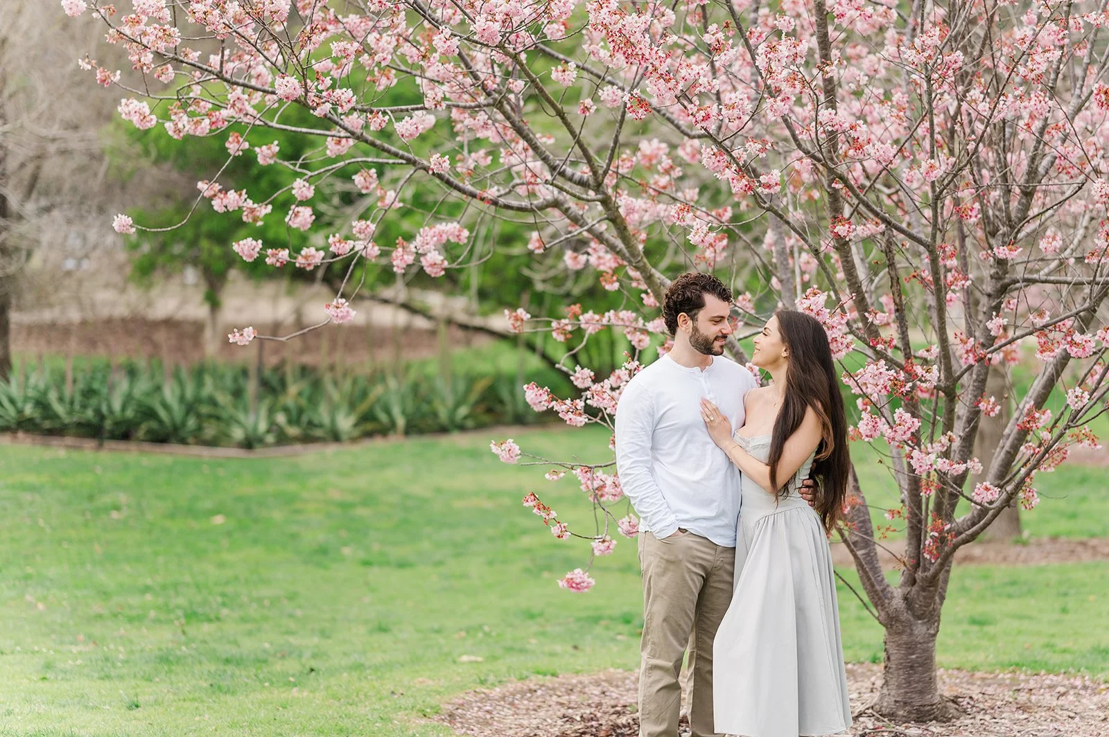 A couple stands close together beneath blooming cherry blossom trees, wearing light neutral outfits and gazing at each other during a spring engagement photoshoot in a green park.