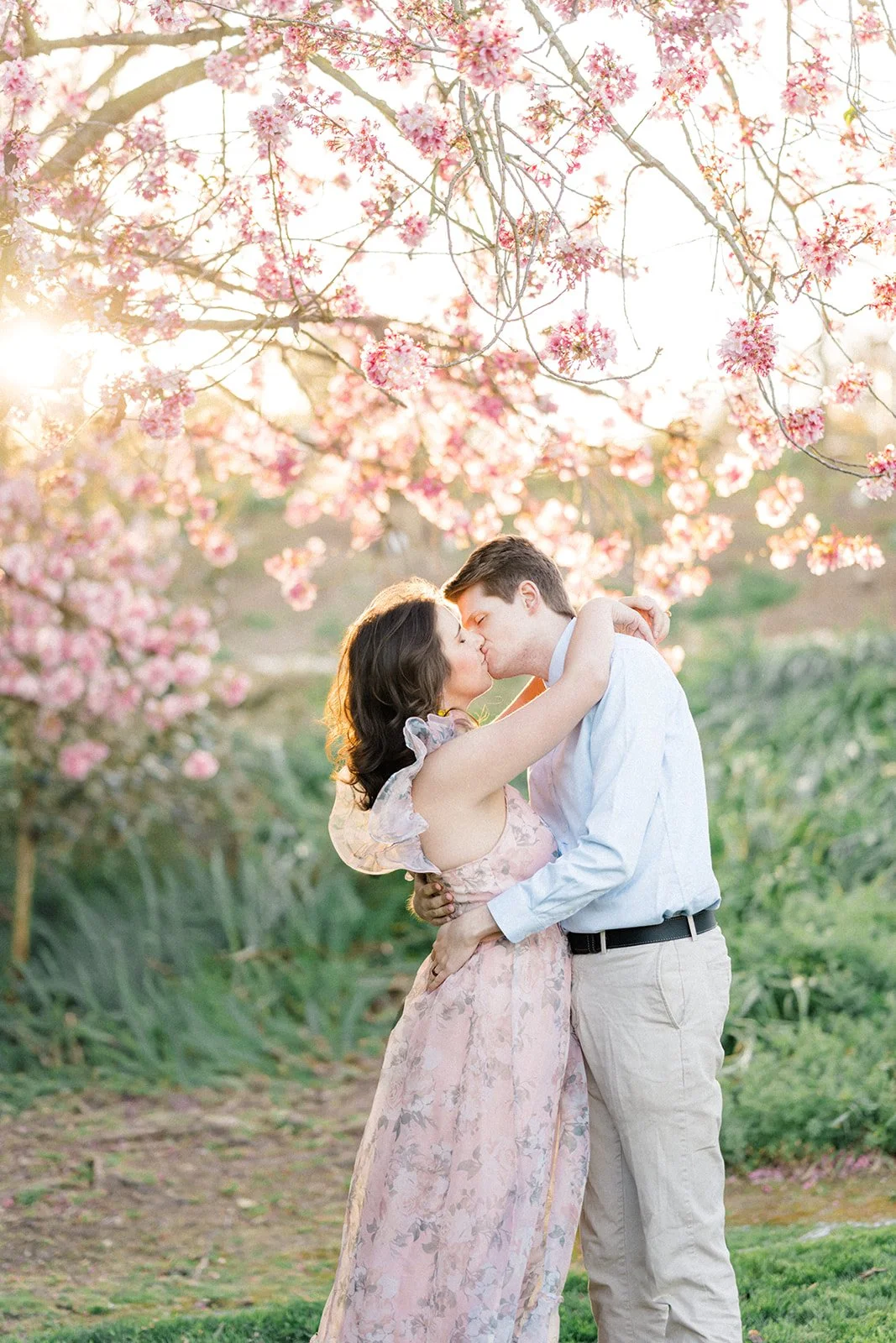 Cherry Blossom Photoshoot ideas featuring a couple kissing beneath blooming cherry blossom branches at golden hour, with warm sunlight filtering through the pink flowers for a romantic, glowing spring scene