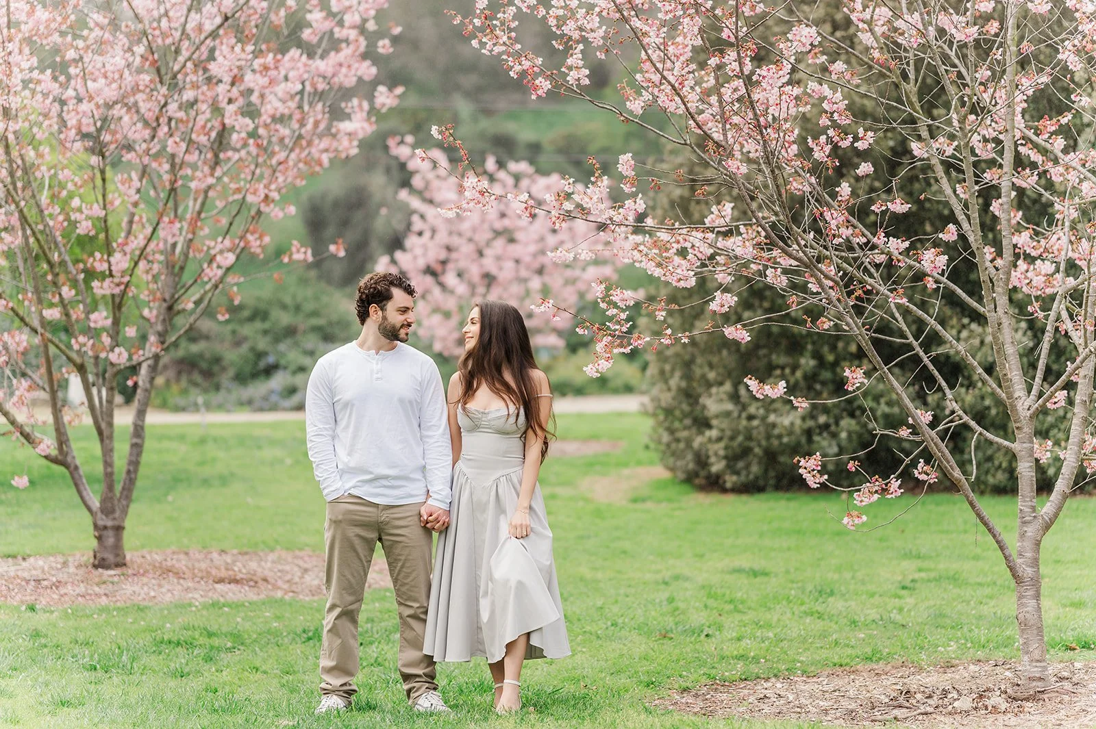 Couple holding hands and walking beneath blooming pink cherry blossom trees in a lush park, smiling at each other in soft, natural spring light.