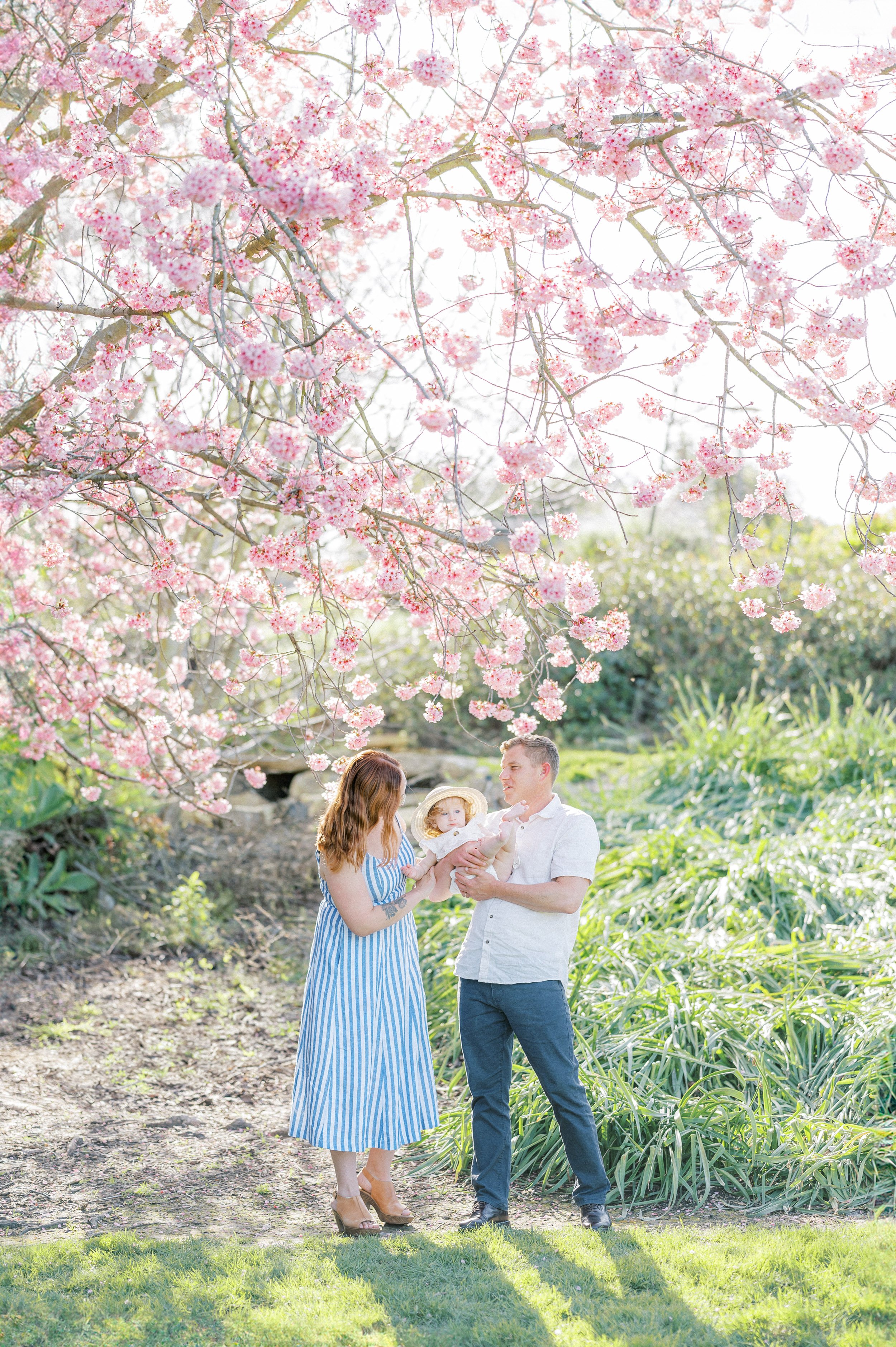 Cherry Blossom Photoshoot ideas featuring a family session partially obscured by on-screen overlays, with glimpses of parents standing together beneath blooming cherry blossom trees in a soft spring setting