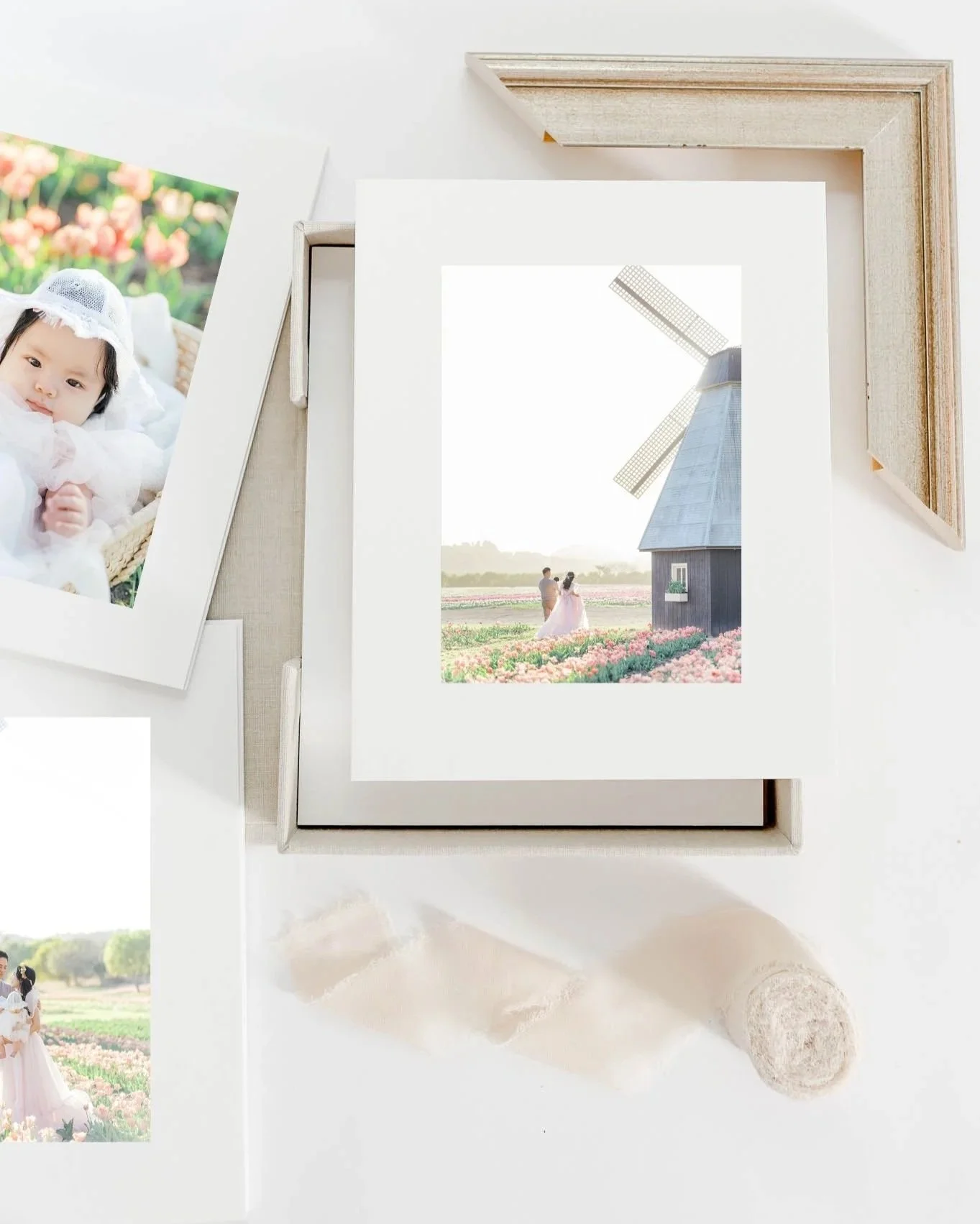 Tulip family photos displayed as fine art prints in a keepsake box, featuring a family portrait in a tulip field with a windmill.