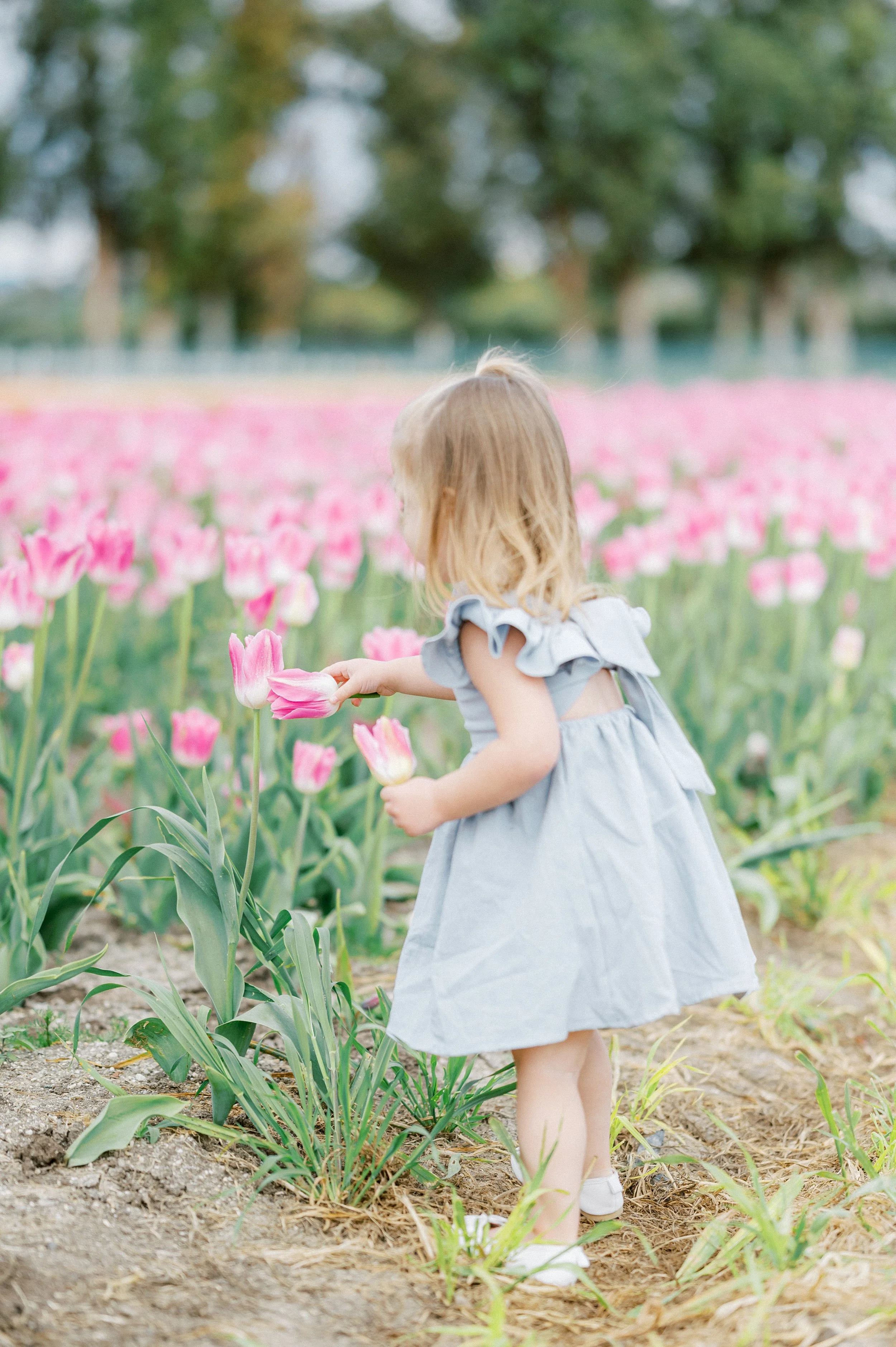 Sena Family (2 of 72).JPG