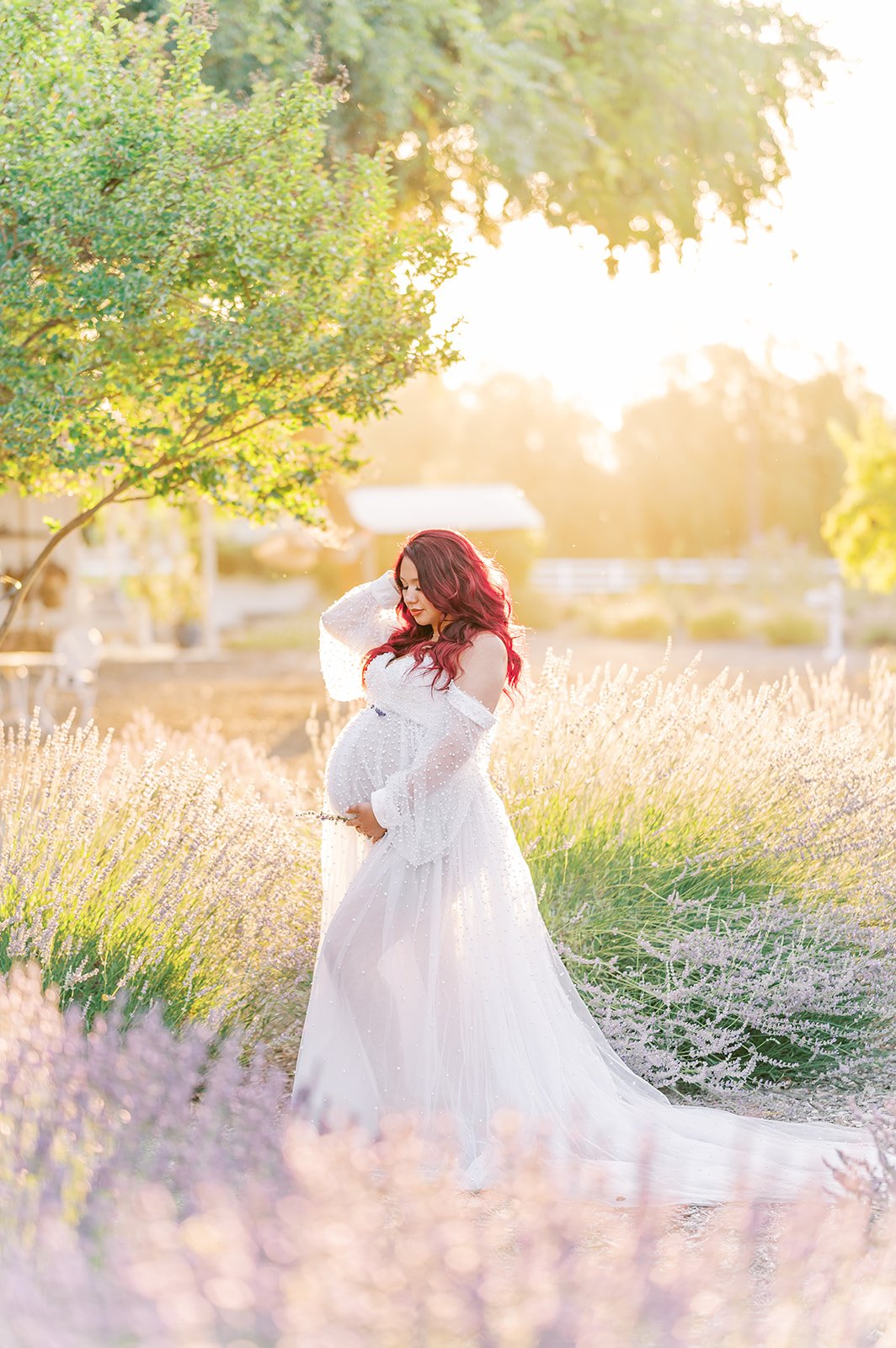lavender-maternity-photoshoot (24).jpg