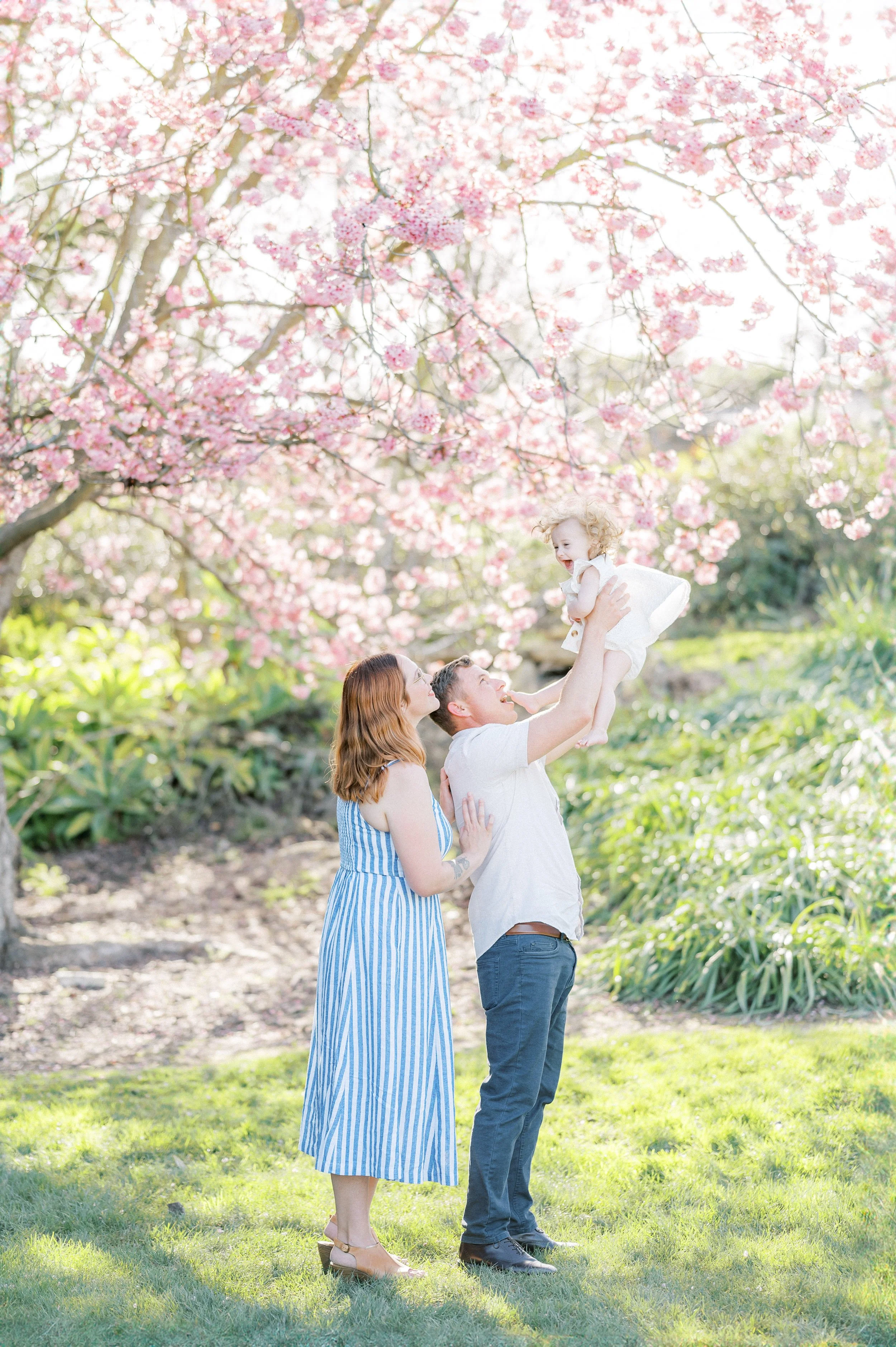 Cherry Blossom Photoshoot ideas featuring a family session with parents lifting their child into the air beneath blooming cherry blossom trees, capturing a joyful, playful moment in soft spring light