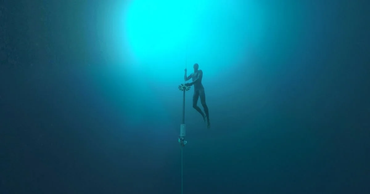 Découverte réalité virtuelle : Dolphin Man 