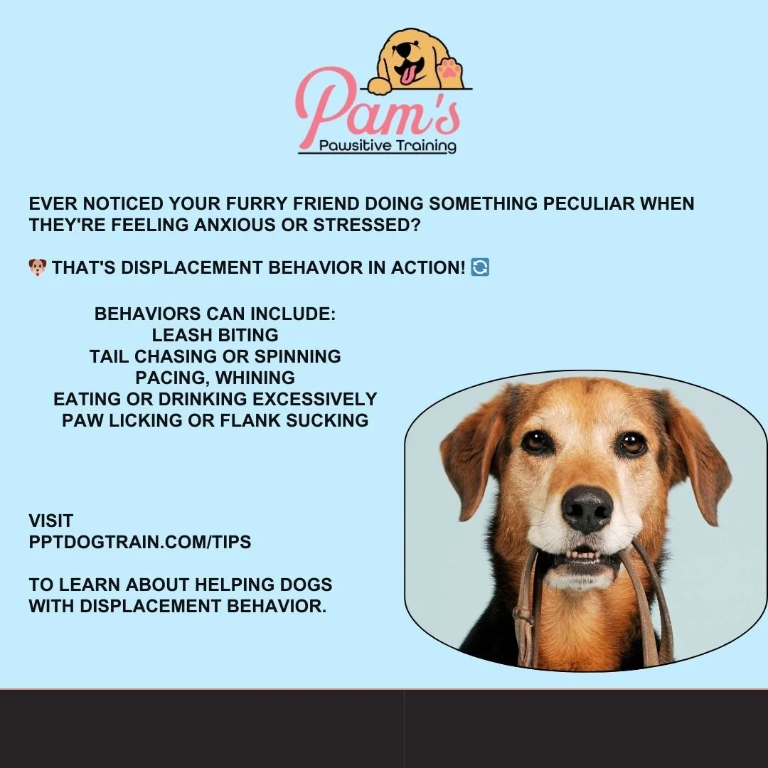 Pawsitive Behavior Blog 2 β Pam's Pawsitive Training