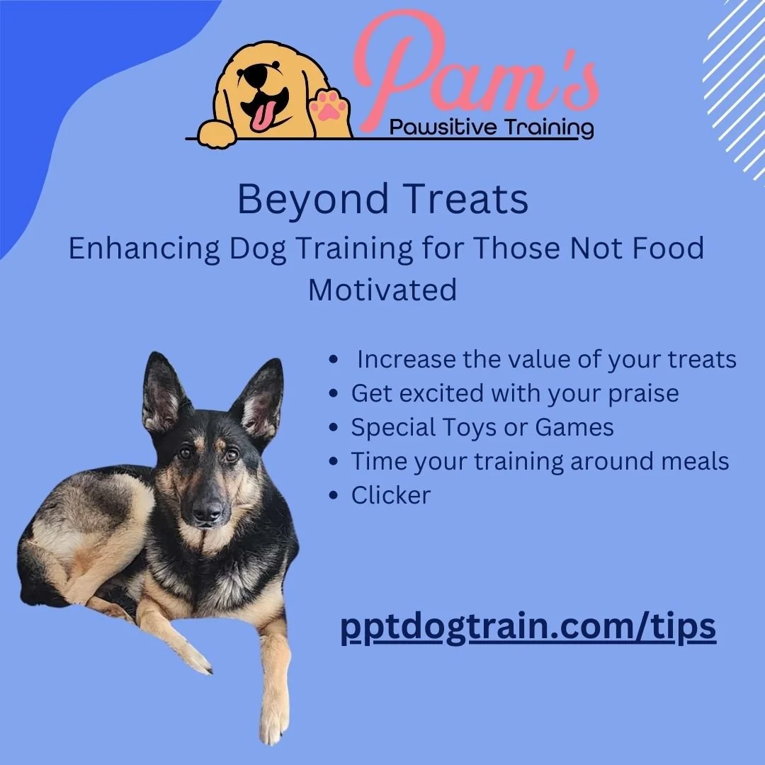 Beyond Treats Enhancing Dog Training for Those Not Motivated by