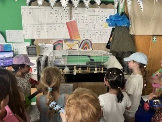 26.06.26