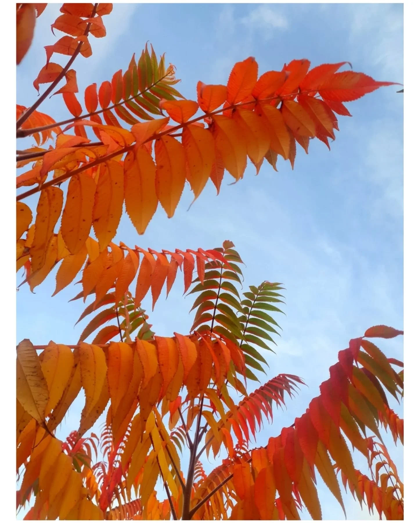 Autumn in all its glory 🧡

I absolutely love this time of year, autumn and winter are such a great time to shoot Portrait / Brand imagery.  When the sun is out, the  light is absolute magic, my favourite light of the year.  And there are so many col