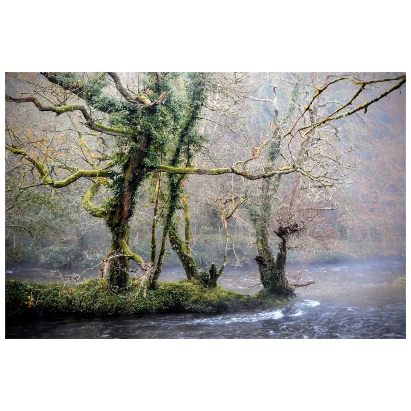 Magical Devon ✨️

Despite the rain and the insane mud its pretty damn beautiful here. Love these misty mornings 🧡

 But come on now spring - we re ready for ya.