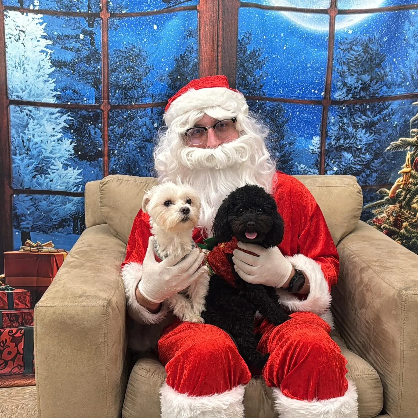 Merry Christmas from your favorite fur babies!