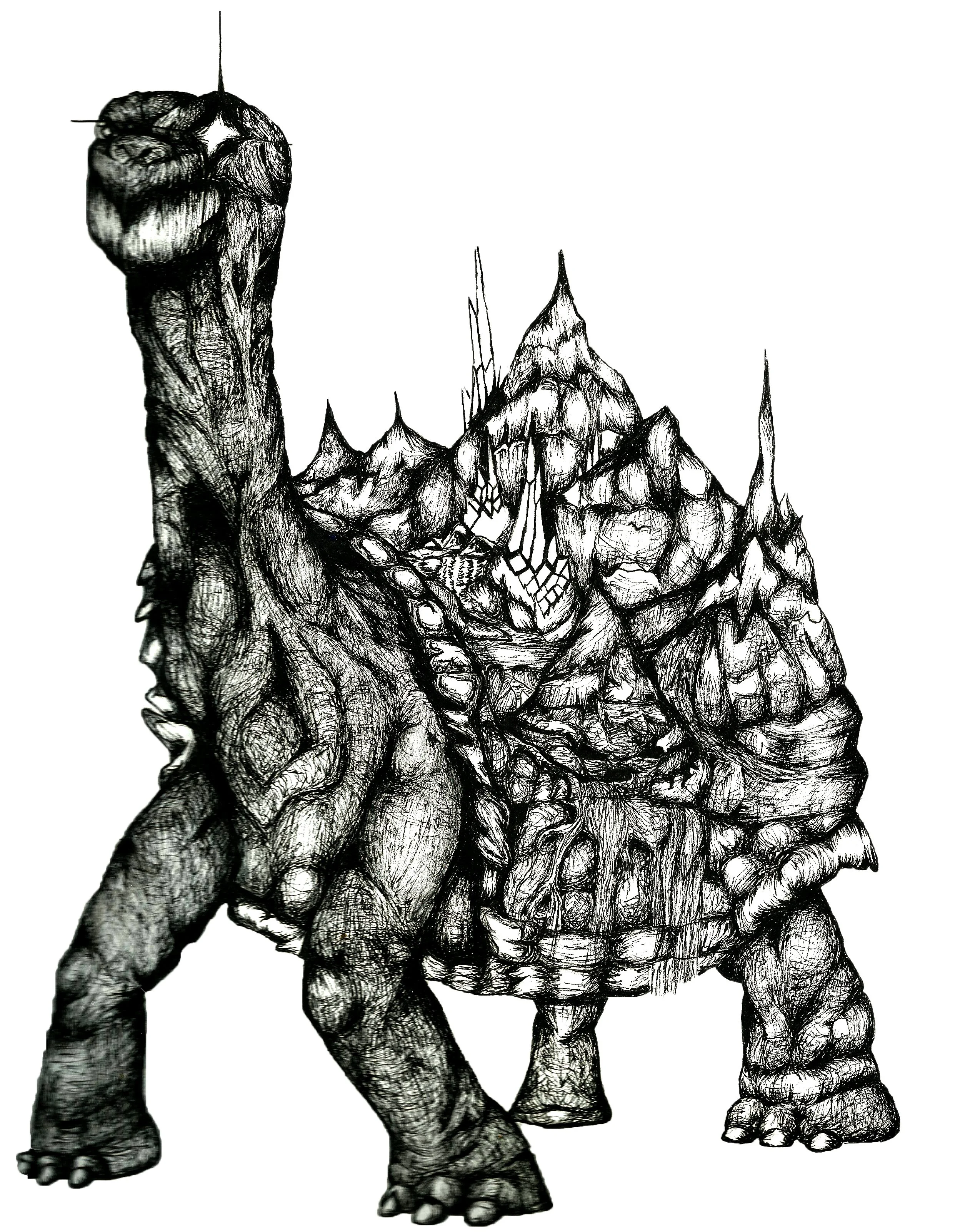 Isla Del Tortuga.jpg