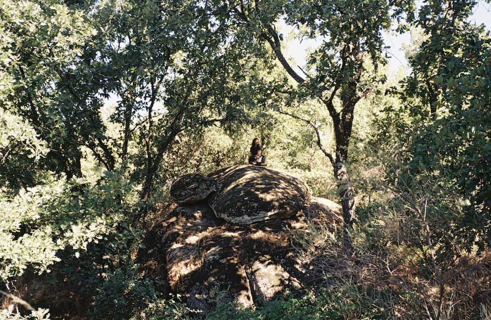 Land Dreaming Journey