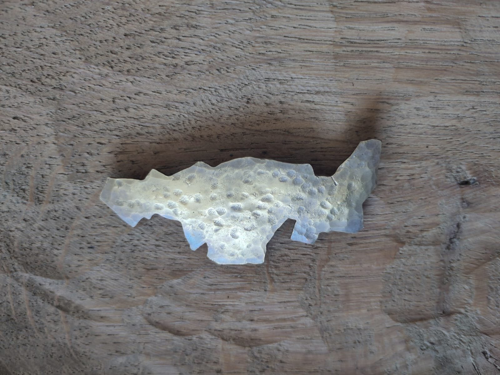 Land dreaming brooch