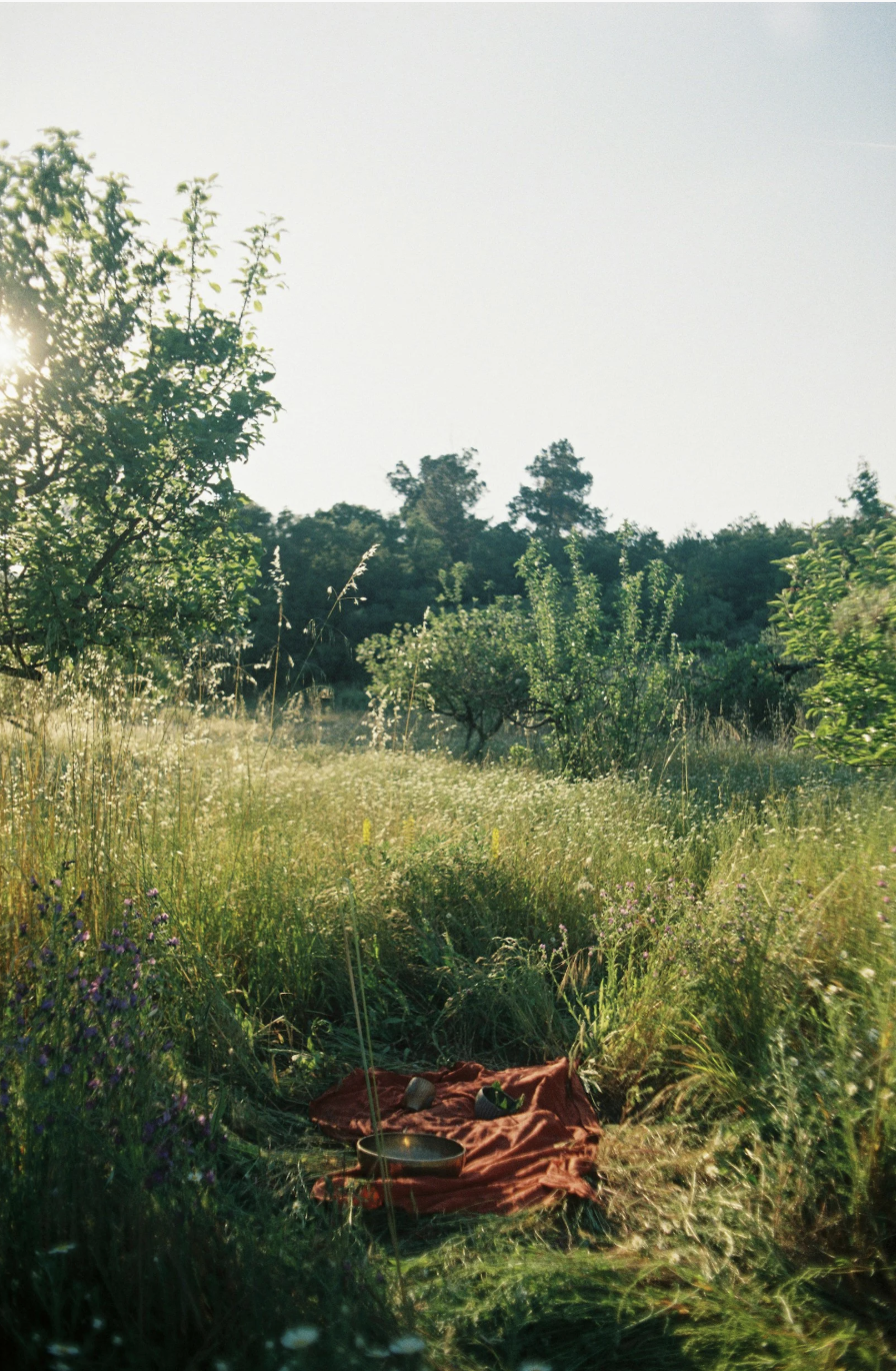 Wildland camp experience