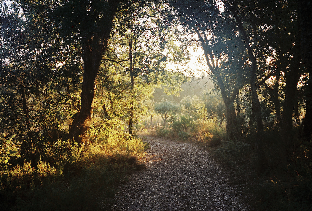 Screenshot 2026-03-04 at 15.51.52.png