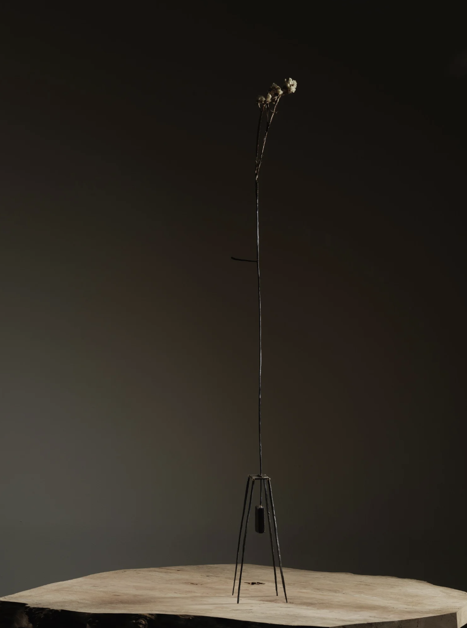 Screenshot 2026-03-24 at 14.35.25.png