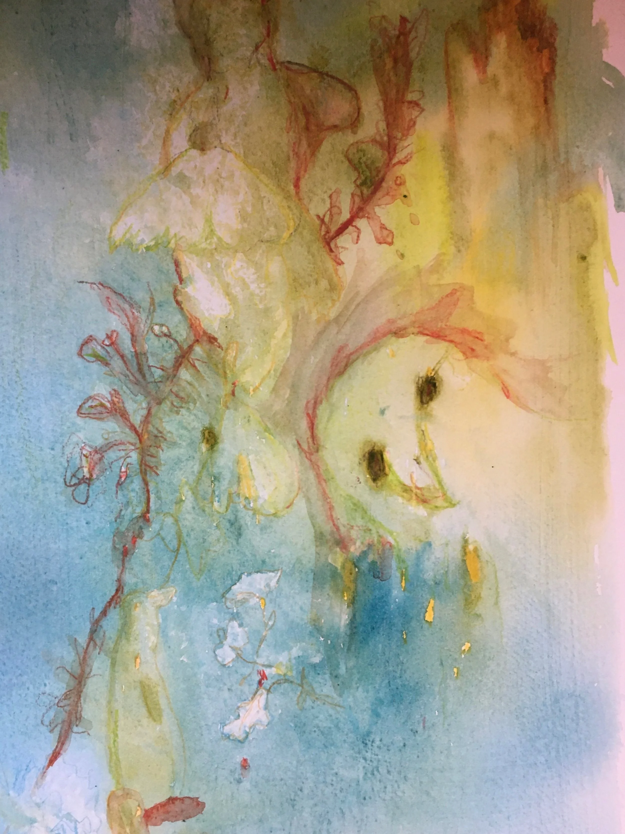 Peace bird. Watercolor 2021