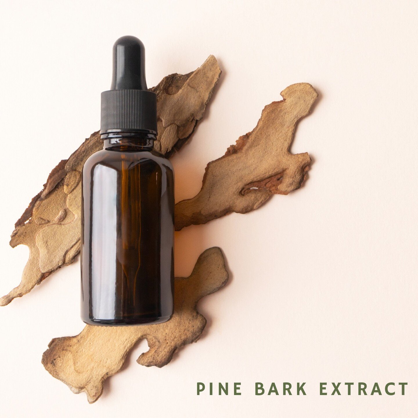 Pine Bark Extract can dramatically reduce free radicals in the skin. These molecules can age your skin, and pine bark extract can help regenerate and duplicate your skin cells. You&rsquo;ll often see this extract in lotions and moisturizers. Pine bar