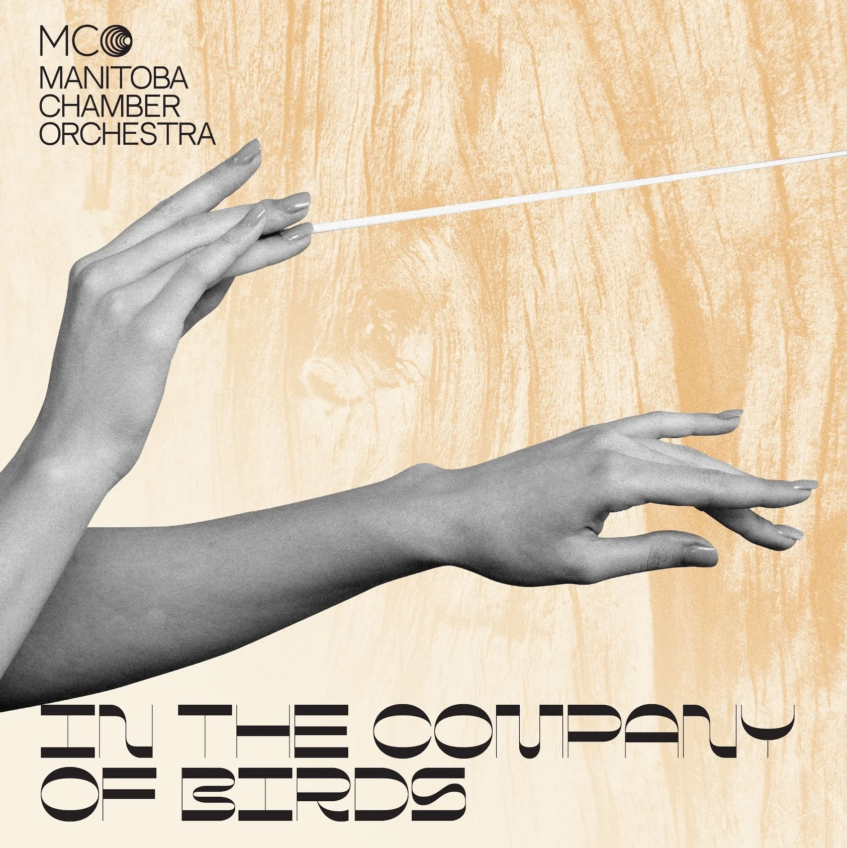 In The Company of Birds