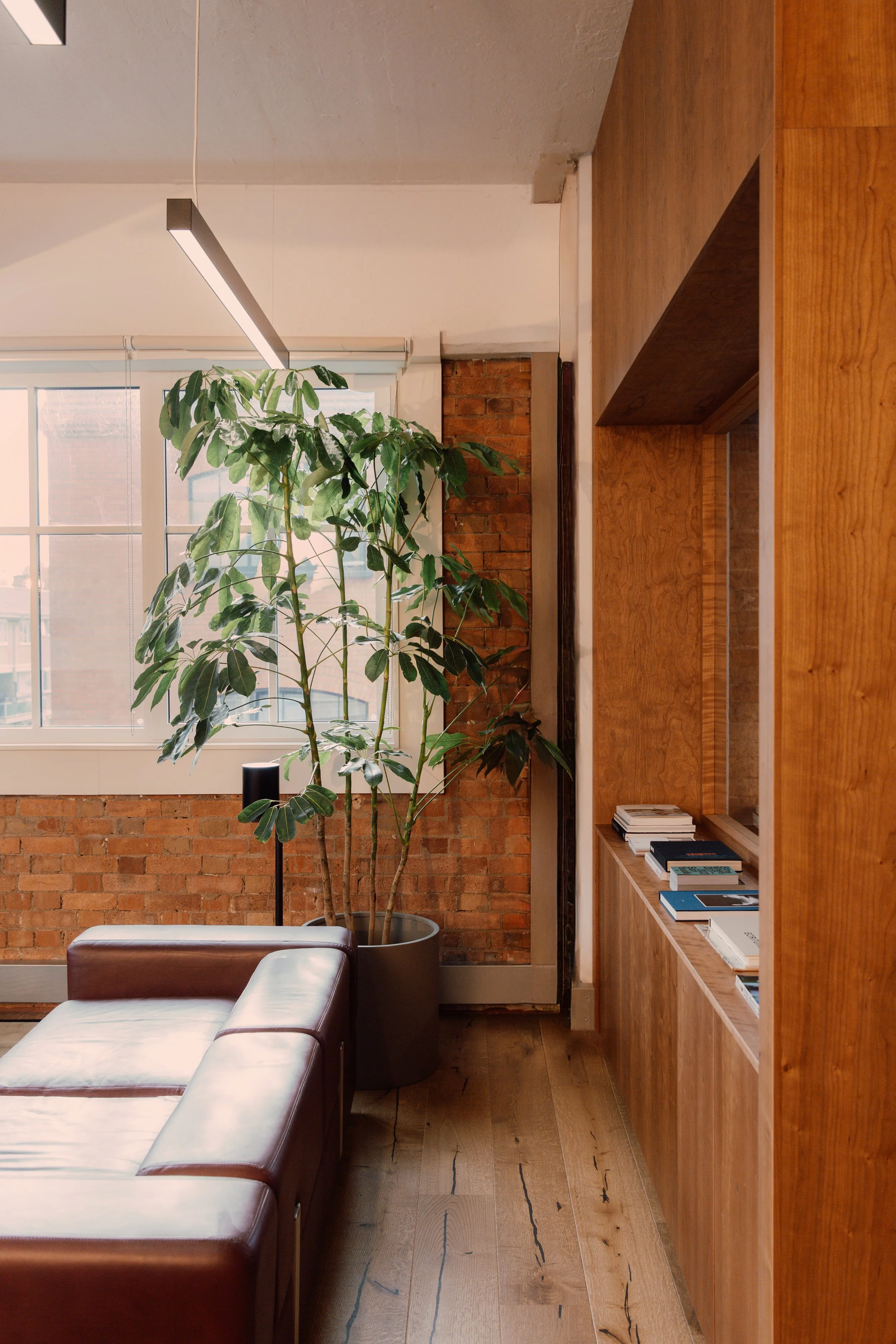 20251105_CC_Porto Rocha_3_0018.jpg