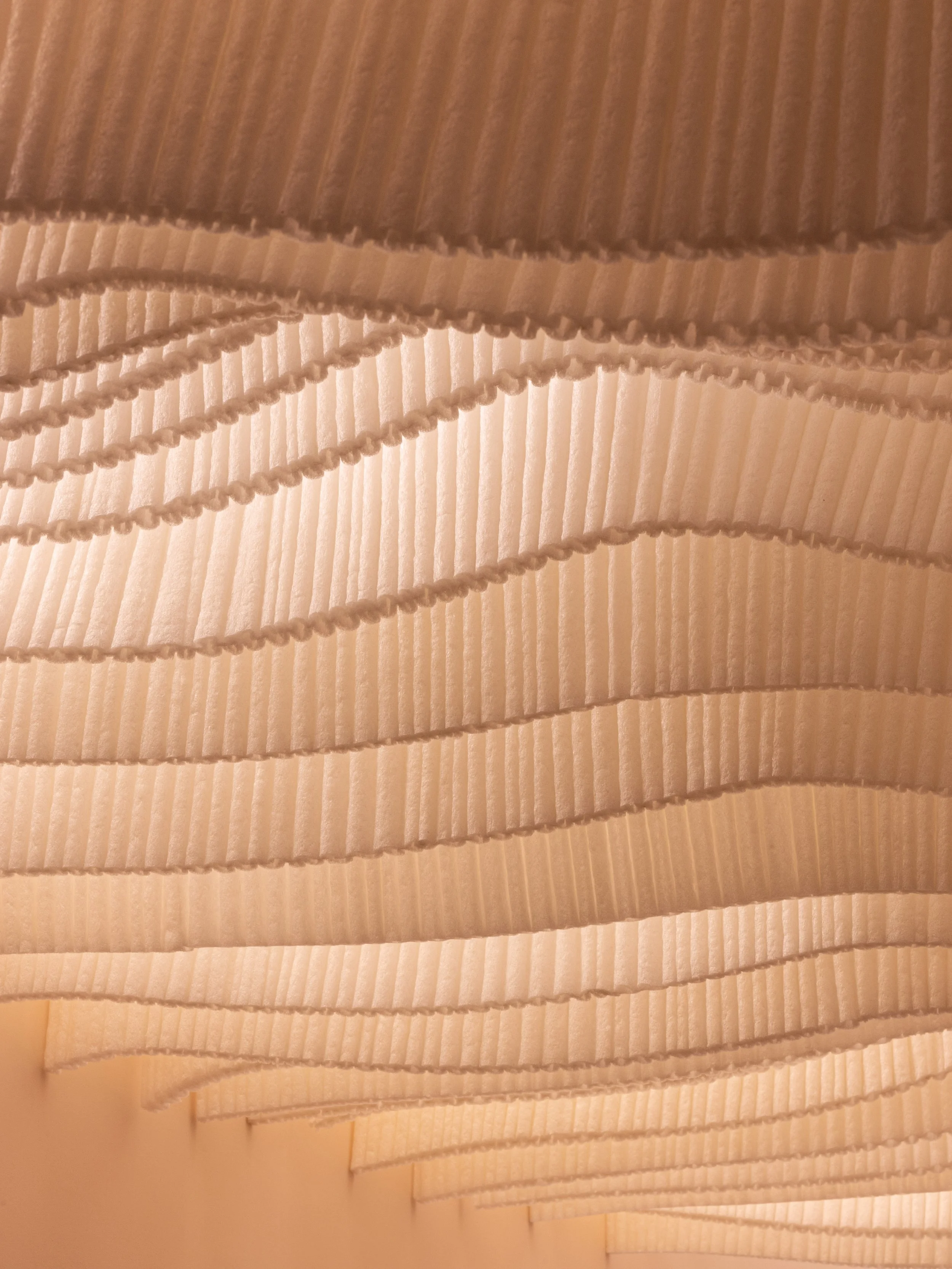 Monc_store interior_HR-22.jpg
