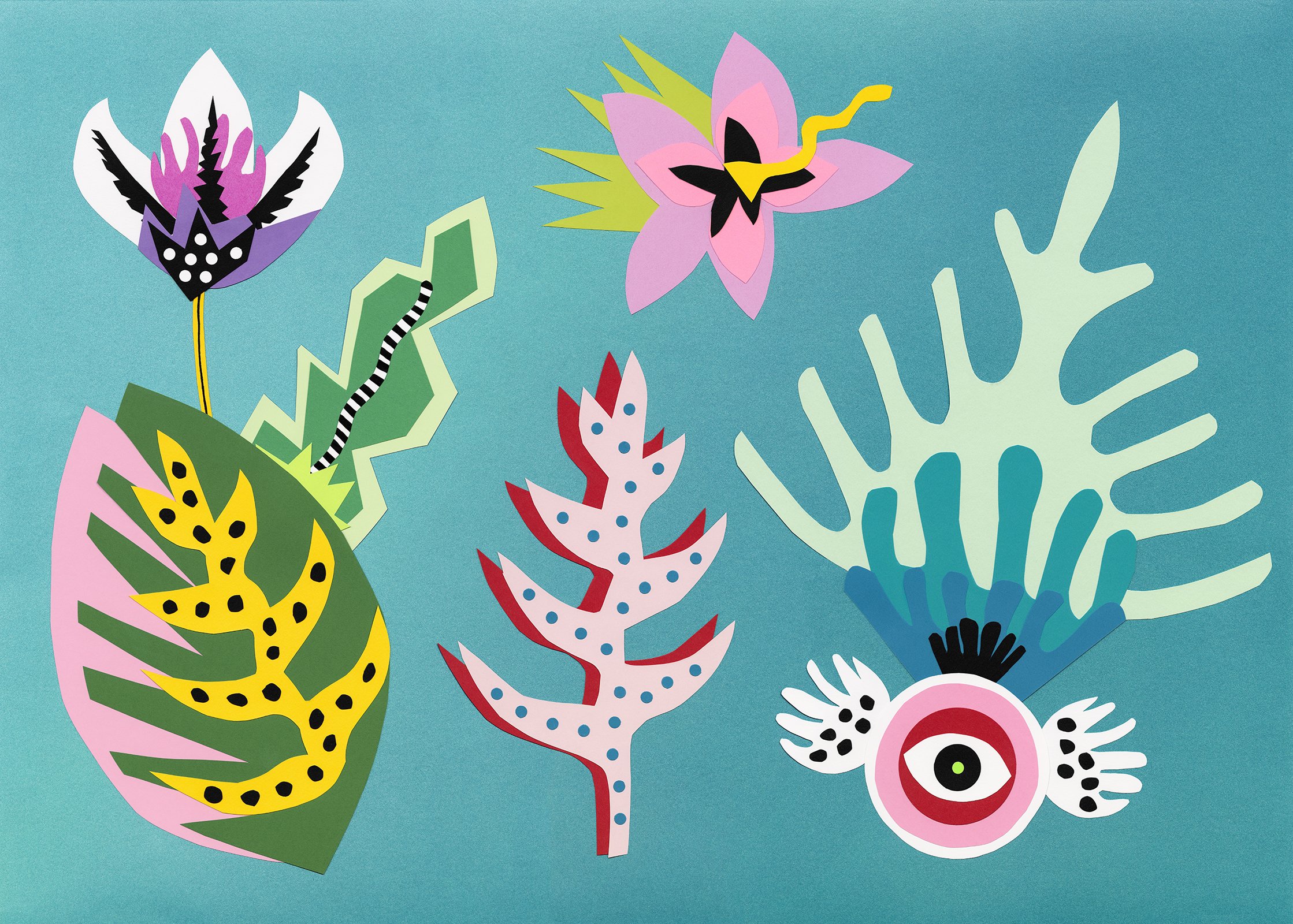 Francisca Oyhanarte,
Gardenia, 2017