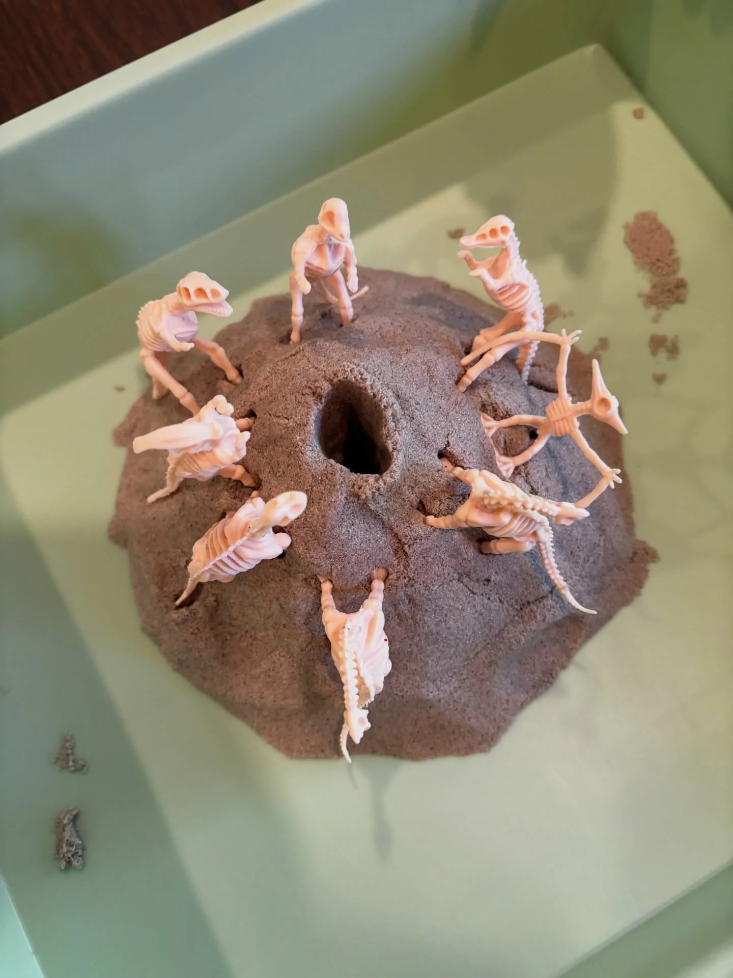 Lil paleontologist!!!! Such a hit, they LOVED this sensory play. 🦕 🌴 🌋 🦴