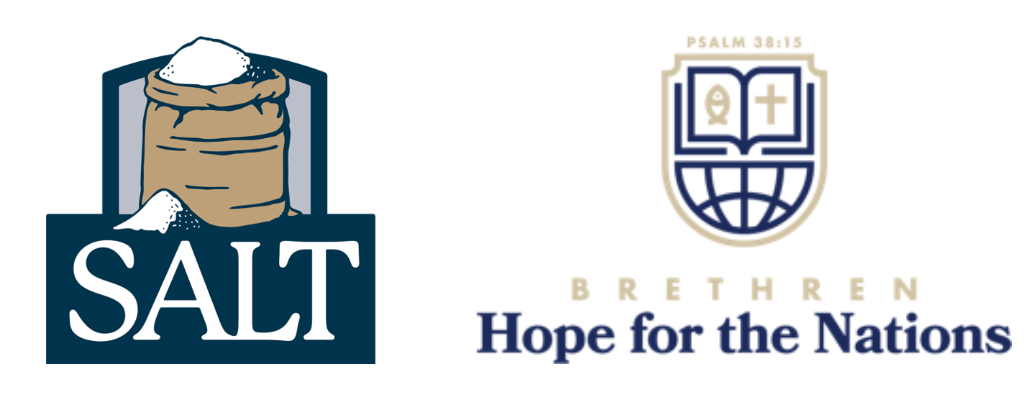 SALT and BHN logos