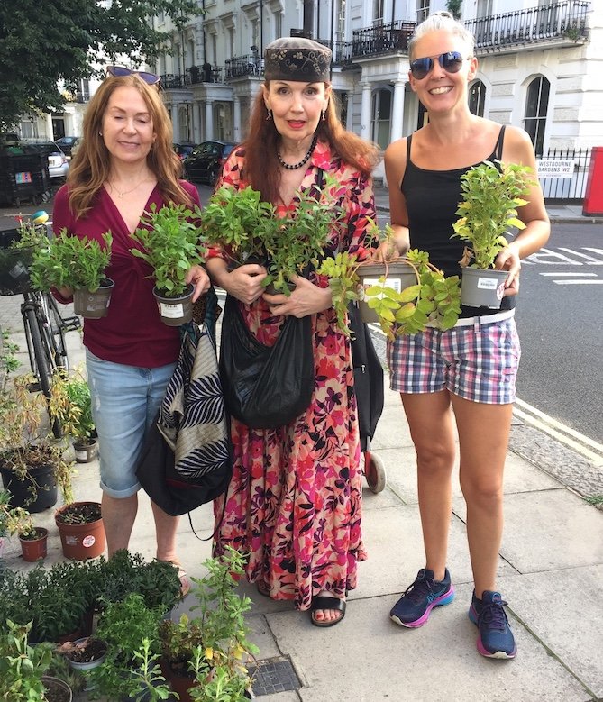 pubs-for-the-planet-plant-swap.JPG