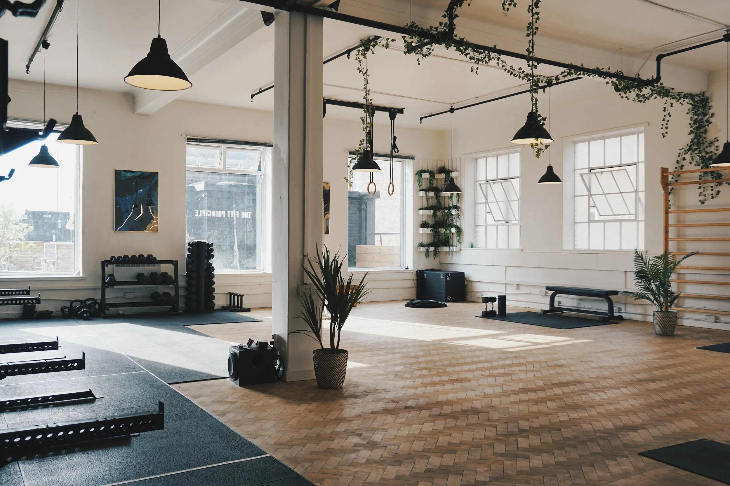 A bright, spacious fitness or yoga studio with large windows, black ceiling lights, and minimal decor. There are workout equipment like dumbbells, a bench, and gym mats arranged neatly around the room, with potted plants and gymnastic rings hanging from the ceiling.