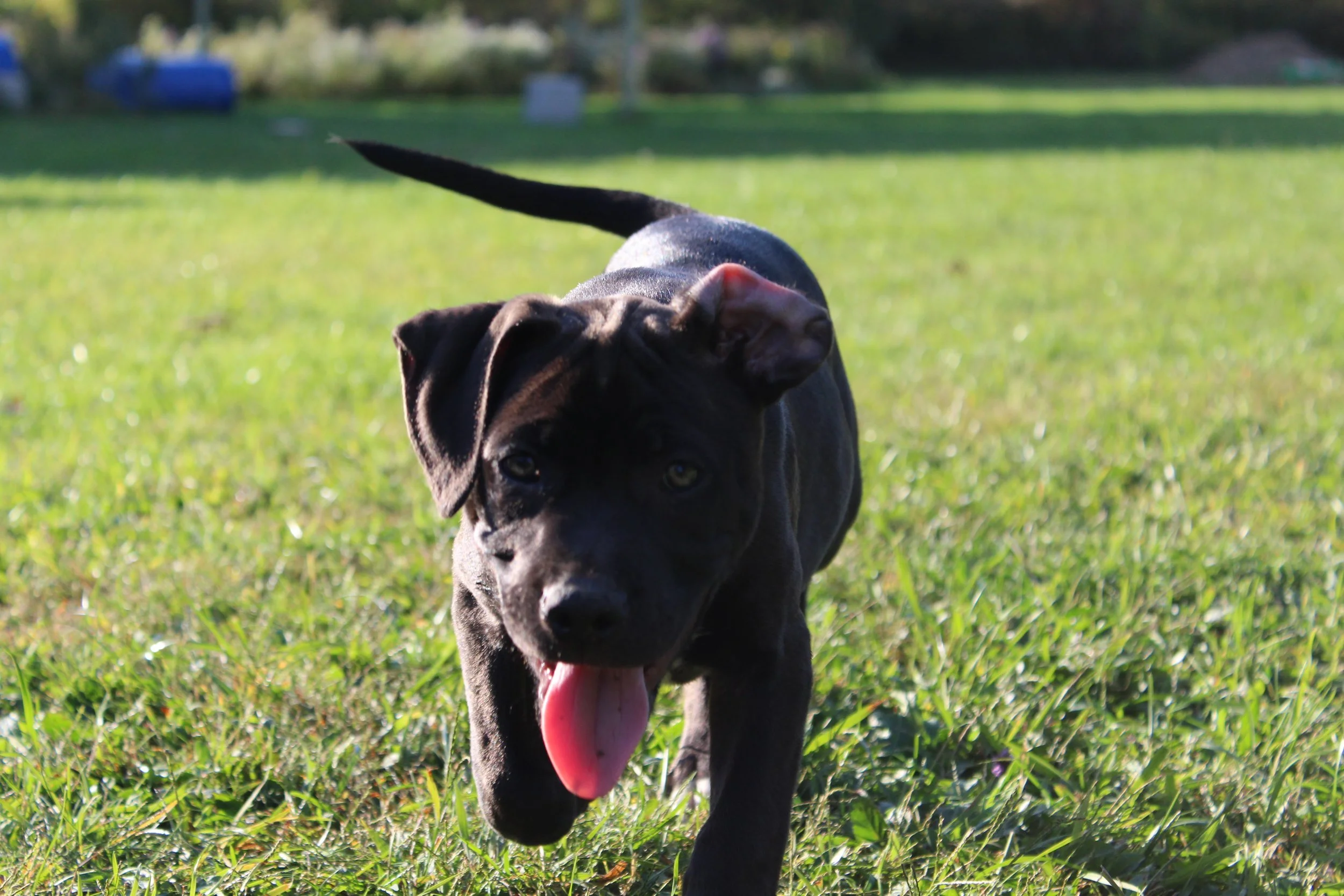 Rosalynn was adopted!