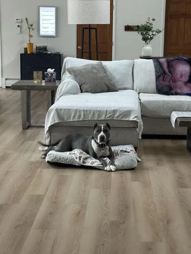 Azula - “Throwing a fit”