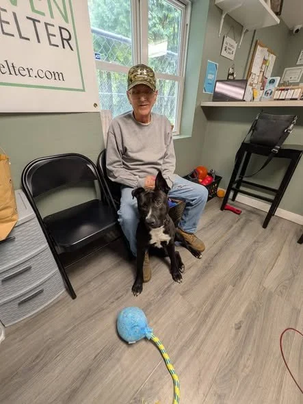 Daisy Adopted!