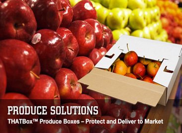 ThatBox_Produce_Solutions.jpg