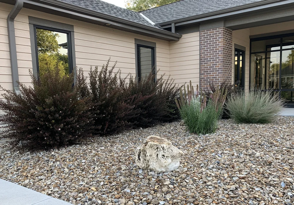 Xeriscaping for low maintenance.jpeg